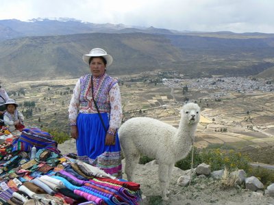 Markt im Altiplano