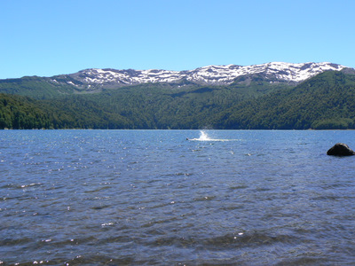 Lago_Conguillio