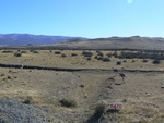 Patagonische Pampa