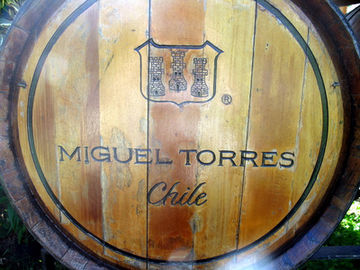 Miguel_Torres