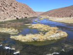 Hochland Atacama
